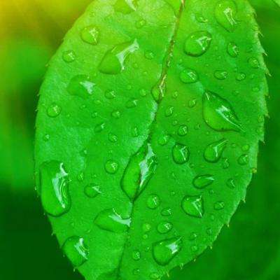 AOA体育登录入口